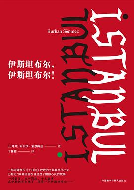 《伊斯坦布尔：一座城市的记忆》封面